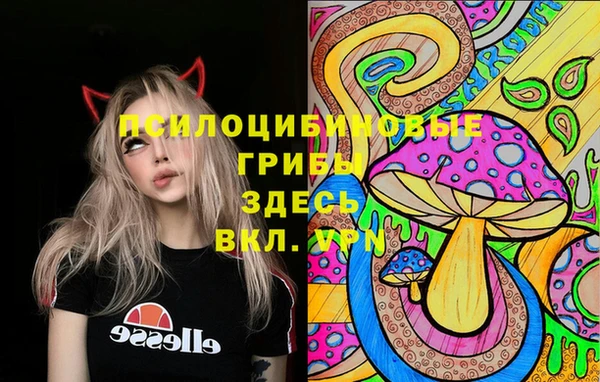 ПСИЛОЦИБИНОВЫЕ ГРИБЫ Зеленокумск