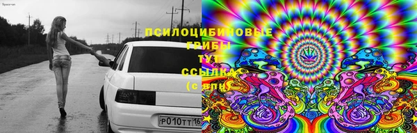 ПСИЛОЦИБИНОВЫЕ ГРИБЫ Зеленокумск
