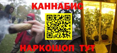 прущие грибы Камышлов