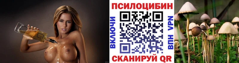 наркошоп Узловая Псилоцибиновые грибы прущие грибы