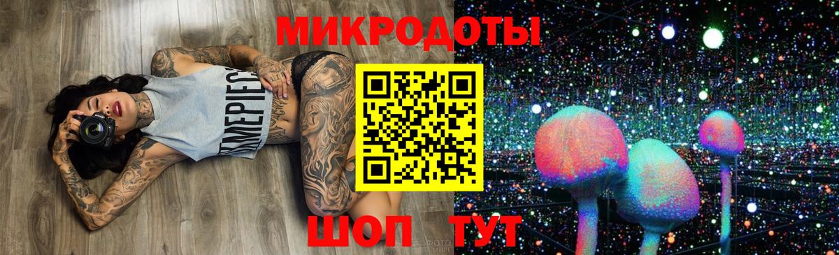 Псилоцибиновые грибы Psilocybe Узловая