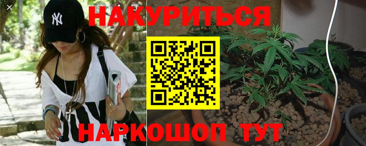 Бошки марихуана план  Вход с VPN  МАРИХУАНА THC 21%  Канабис марихуана  Бошки марихуана THC 21%  Узловая 